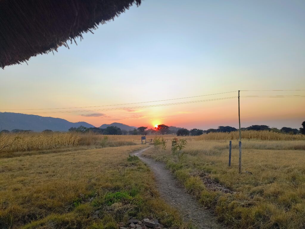 Path through the grass towards the sunset at Mark's Farm & Lodge