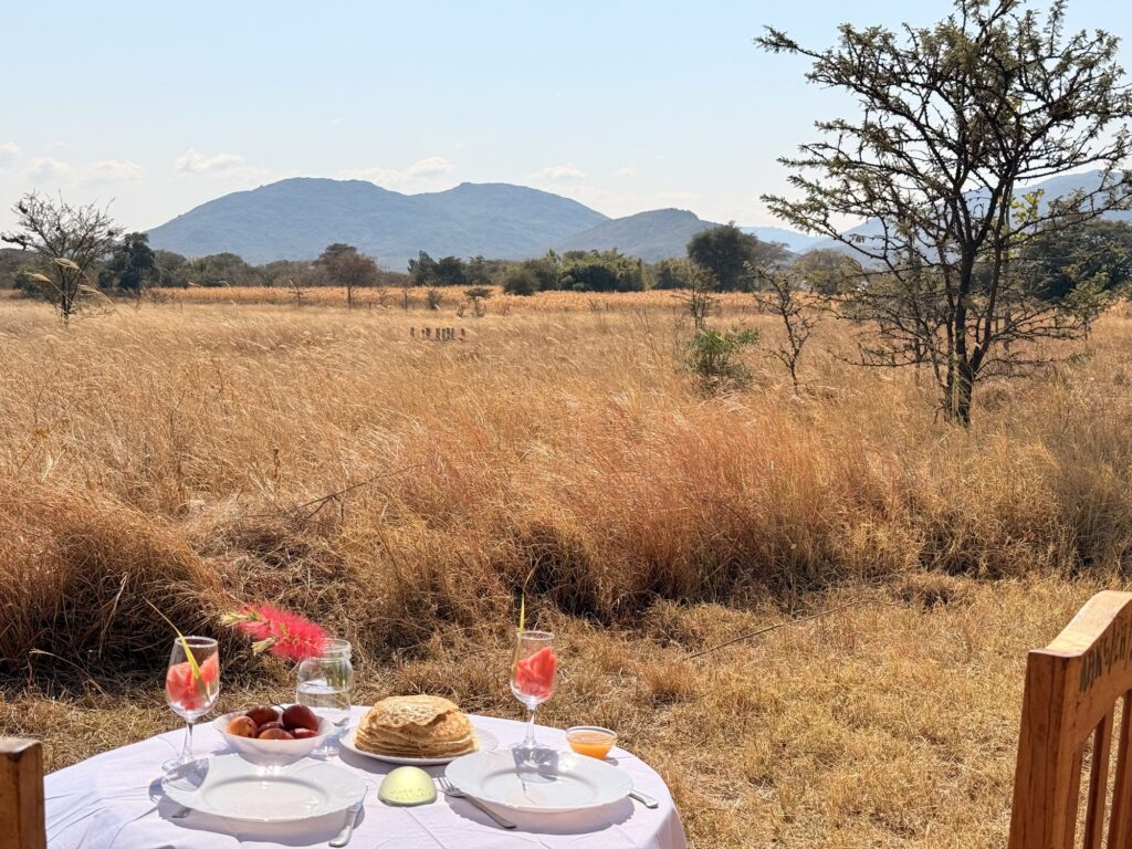Bush breakfast table in the golden grassland with mountains behind