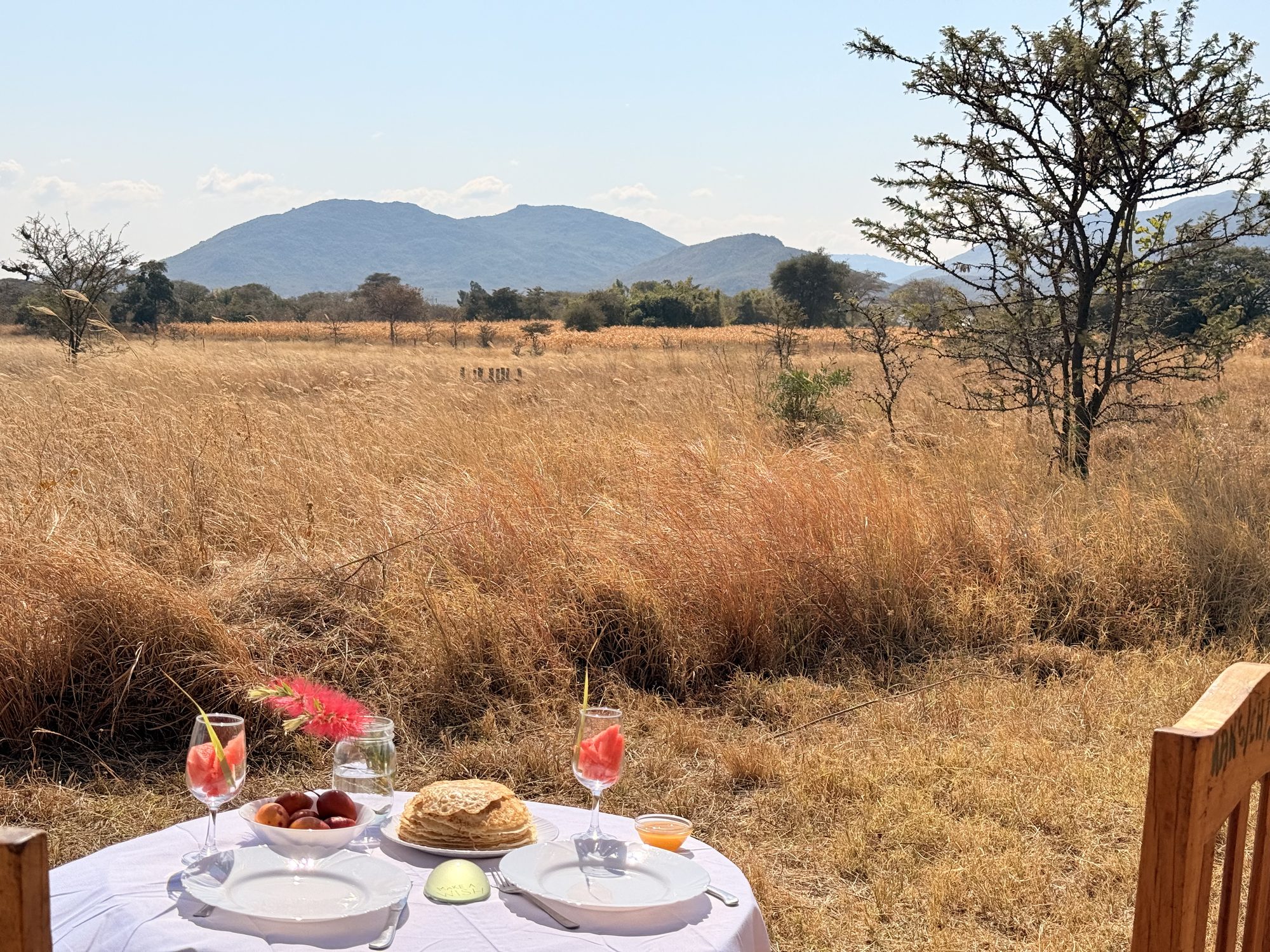Bush breakfast table in the golden grassland with mountains behind