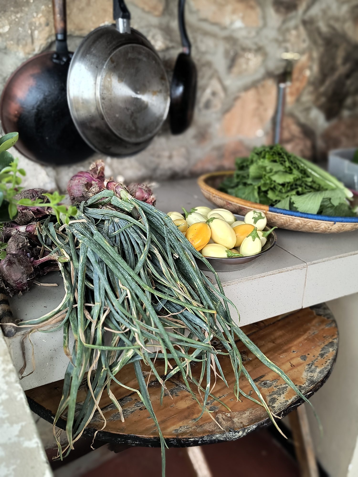 Fresh spring onions and vegetables from our own garden in the farm kitchen
