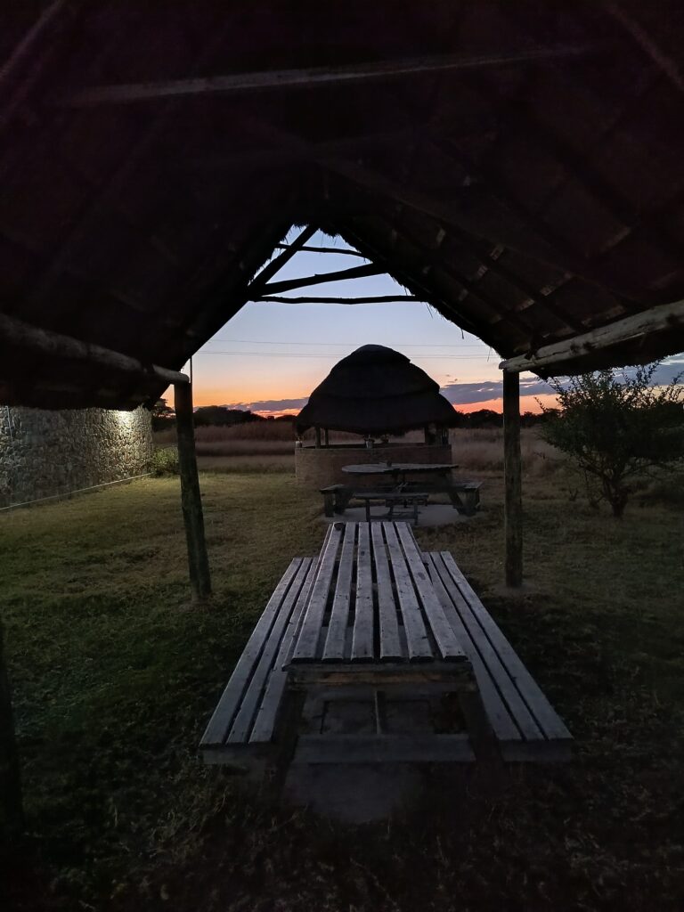 Thatched picnic shelter with wooden benches at dusk