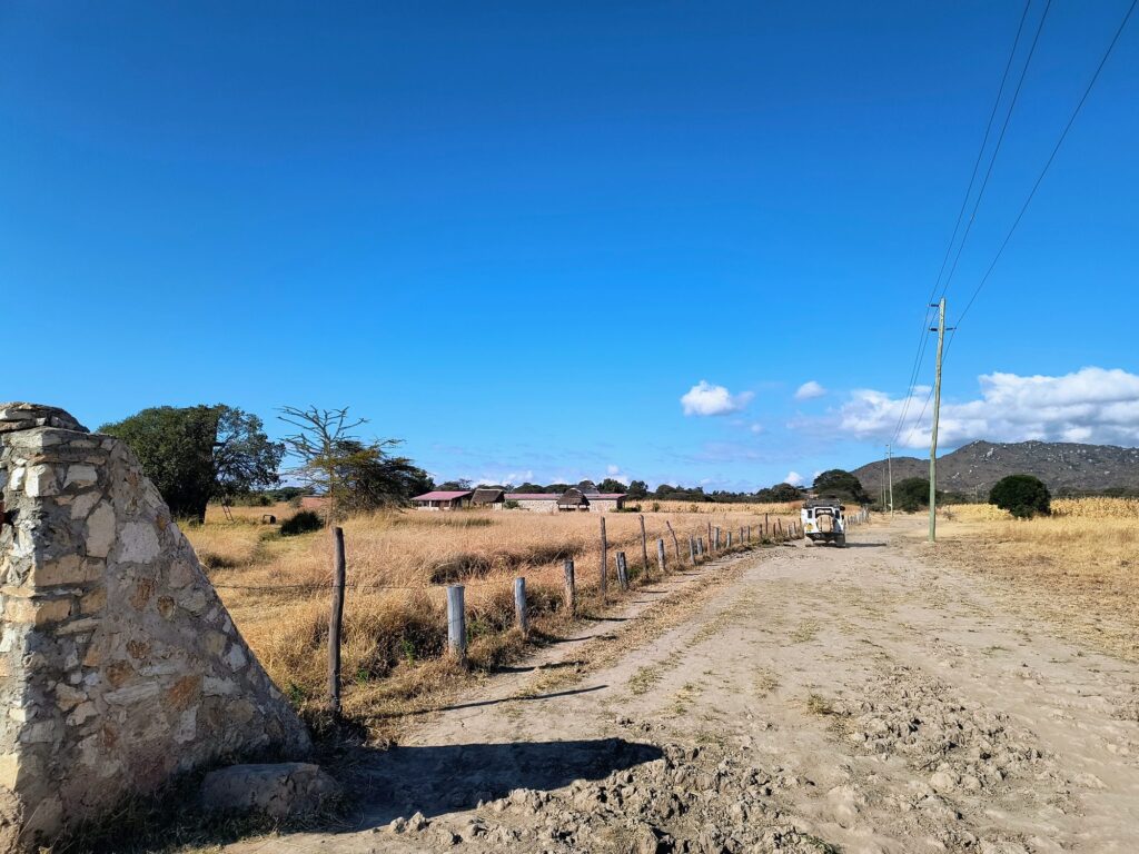 The farm track leading to the entrance of MARK's Farm & Lodge under a blue sky