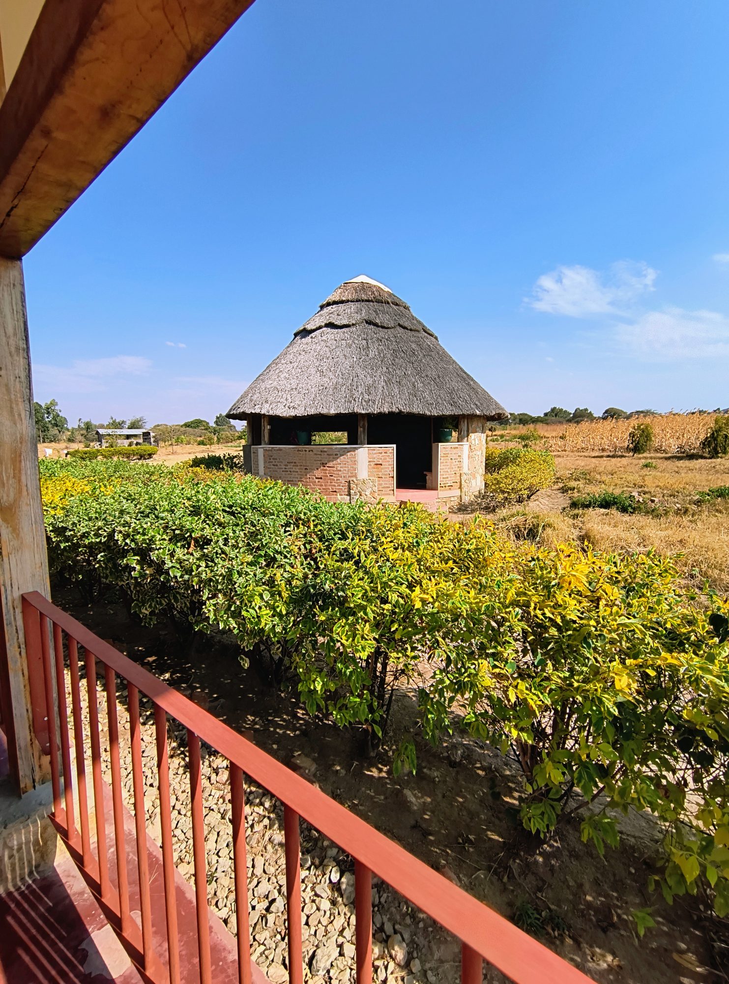 The dining room of MARK's Farm & Lodge seen from outside, with its thatched roof among flowering plants